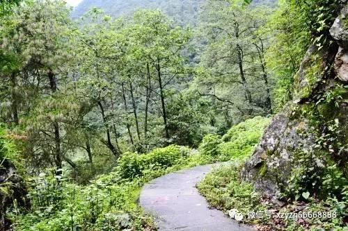 空中战队